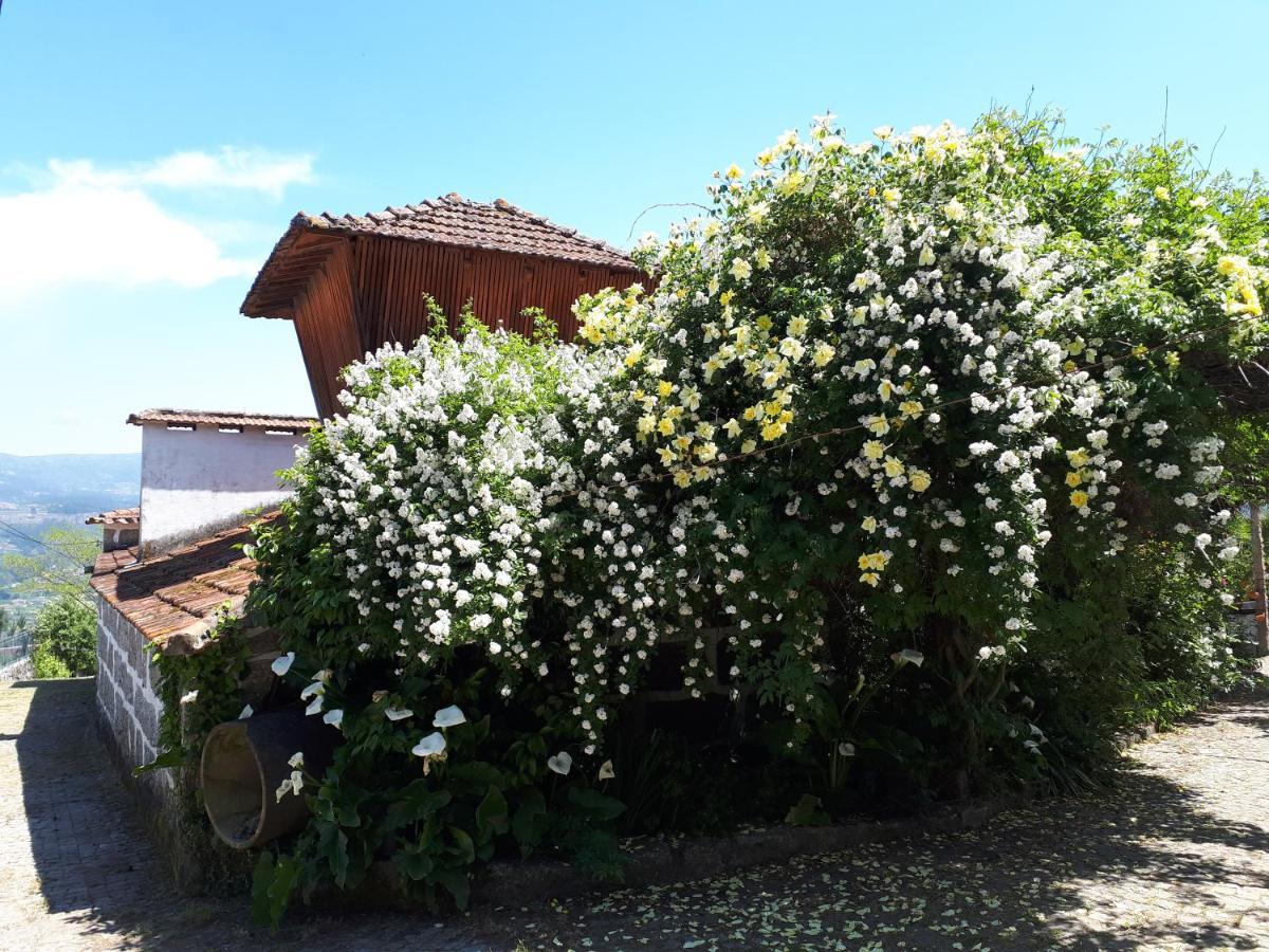 카스텔루 지 파이바 Quinta Do Mirante 빌라 외부 사진