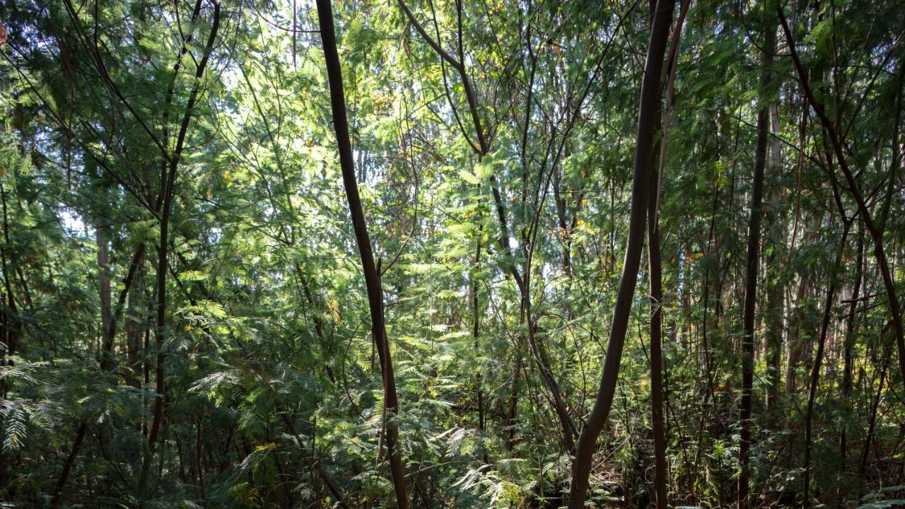 카스텔루 지 파이바 Quinta Do Mirante 빌라 외부 사진